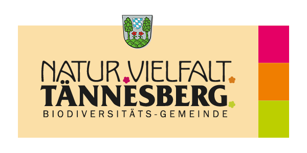 Tännesberg